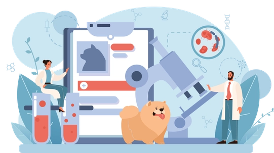Graphic portraying a veterinary professional wearing a stethescope and holding a laptop, standing behind a cat and dog.
